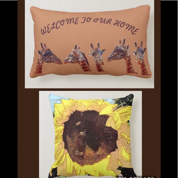 Meet Your Posh Ambassador - Picture 3 of 3